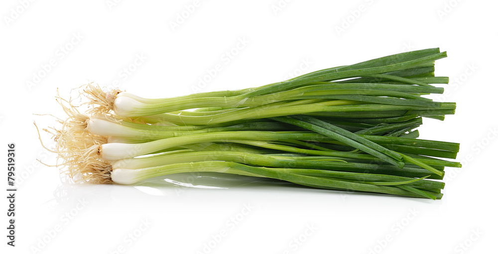 Green Onion on white background Green Onion on white background