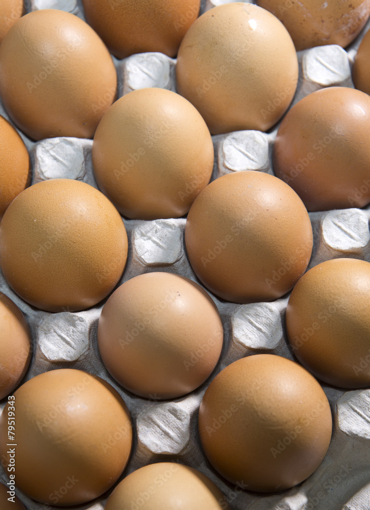 Eggs lie in the cardboard support Eggs lie in the cardboard support