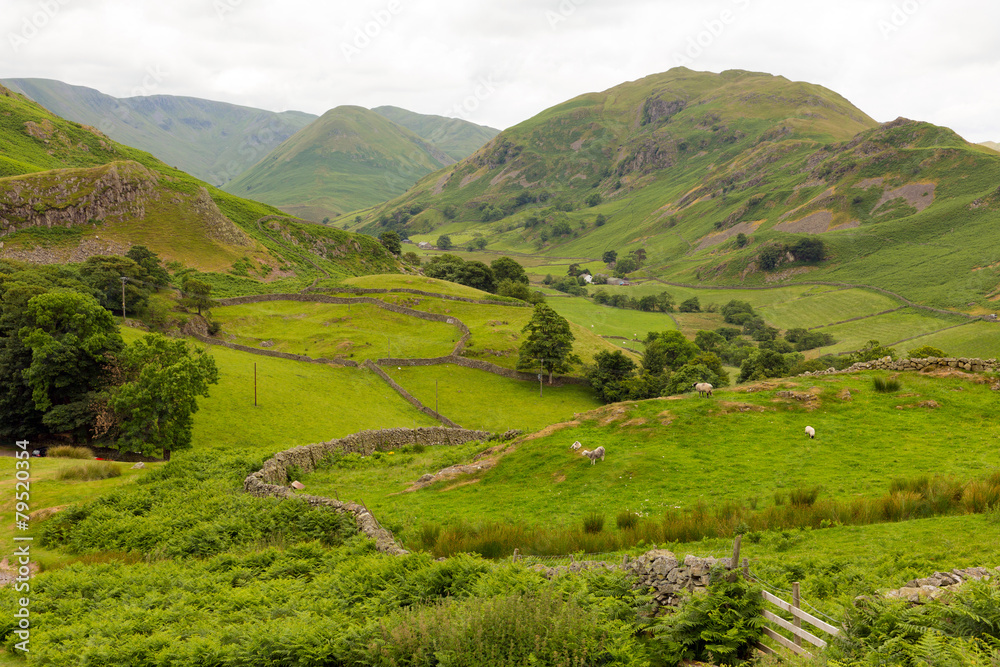 Dry stone walls and Martindale Valley The Lakes UK