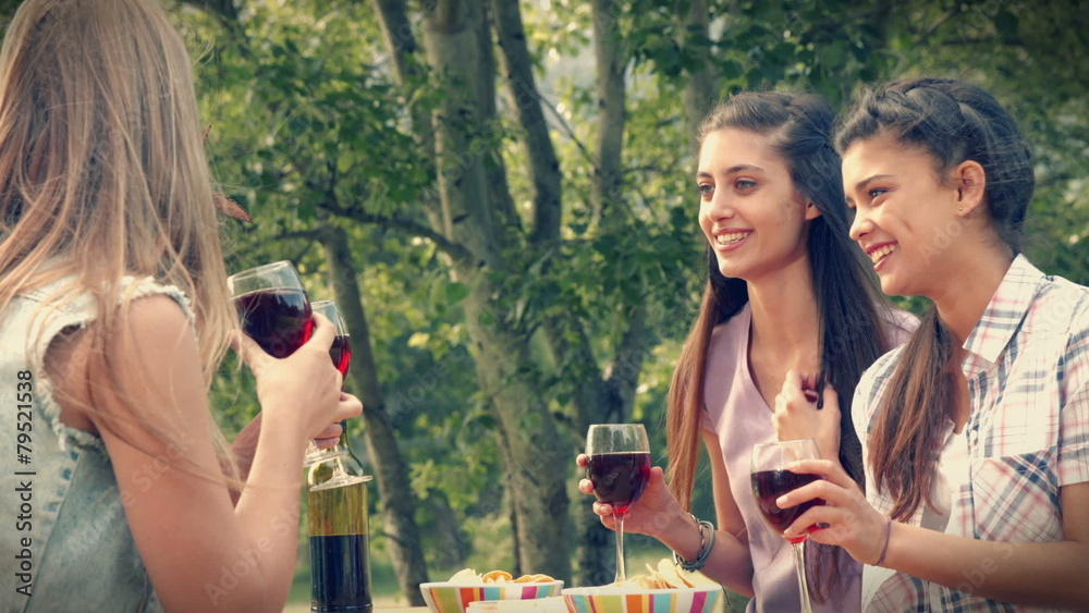In high quality format happy friends in the park having lunch