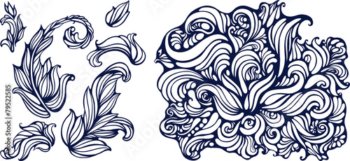 isolated objects of leaves