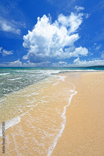 南国の美しいビーチと紺碧の空