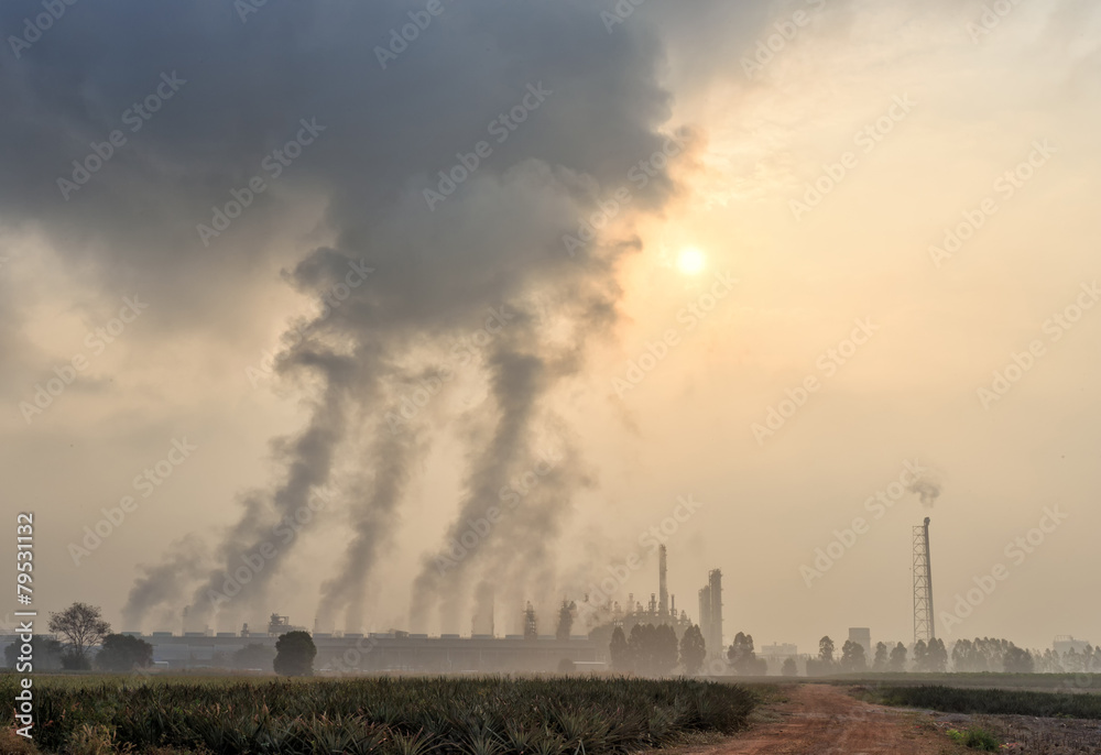 Petrochemical  plant located nearby pineapple field , during mor