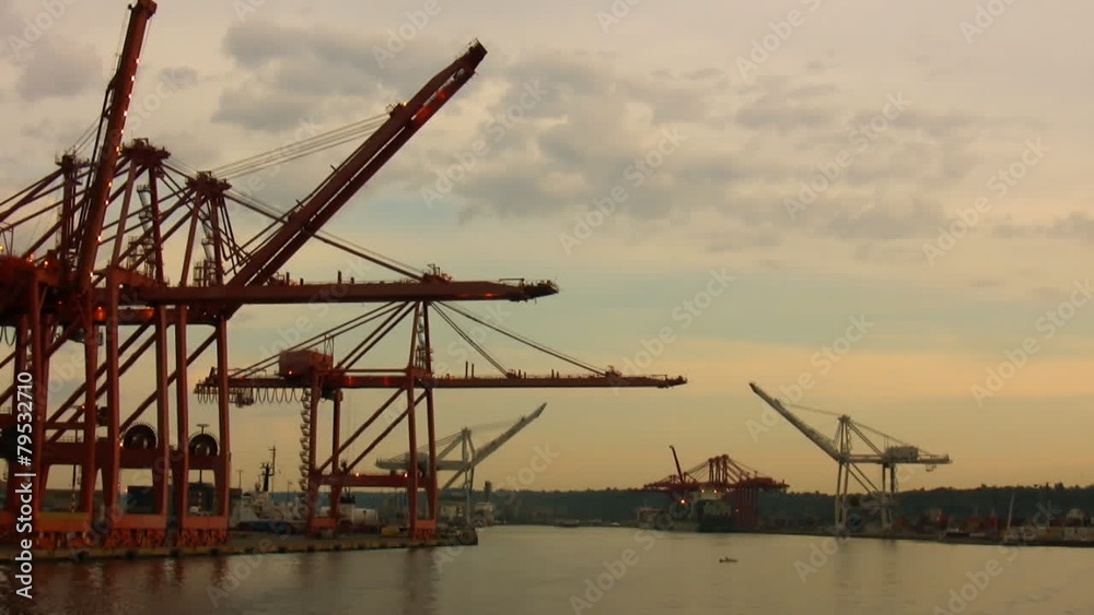 Cranes on Port Lapse Cranes on Port Lapse