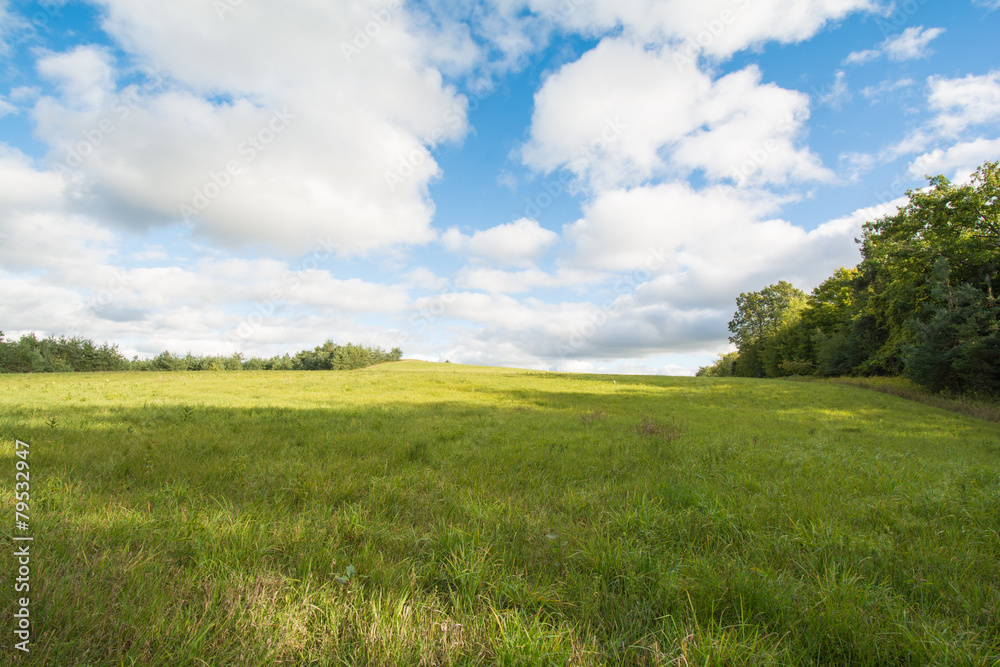 Obraz premium Green Field Puffy Clouds