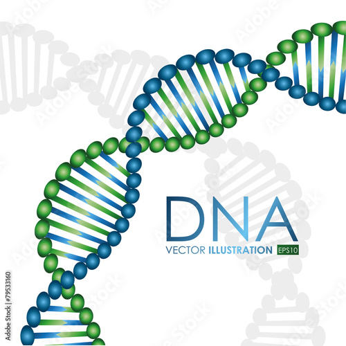 DNA design  vector illustration.