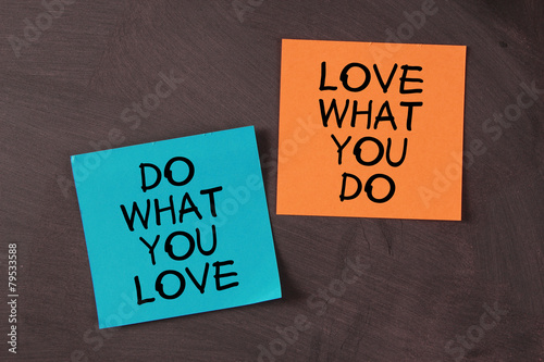 Love What You Do and Do What You Love