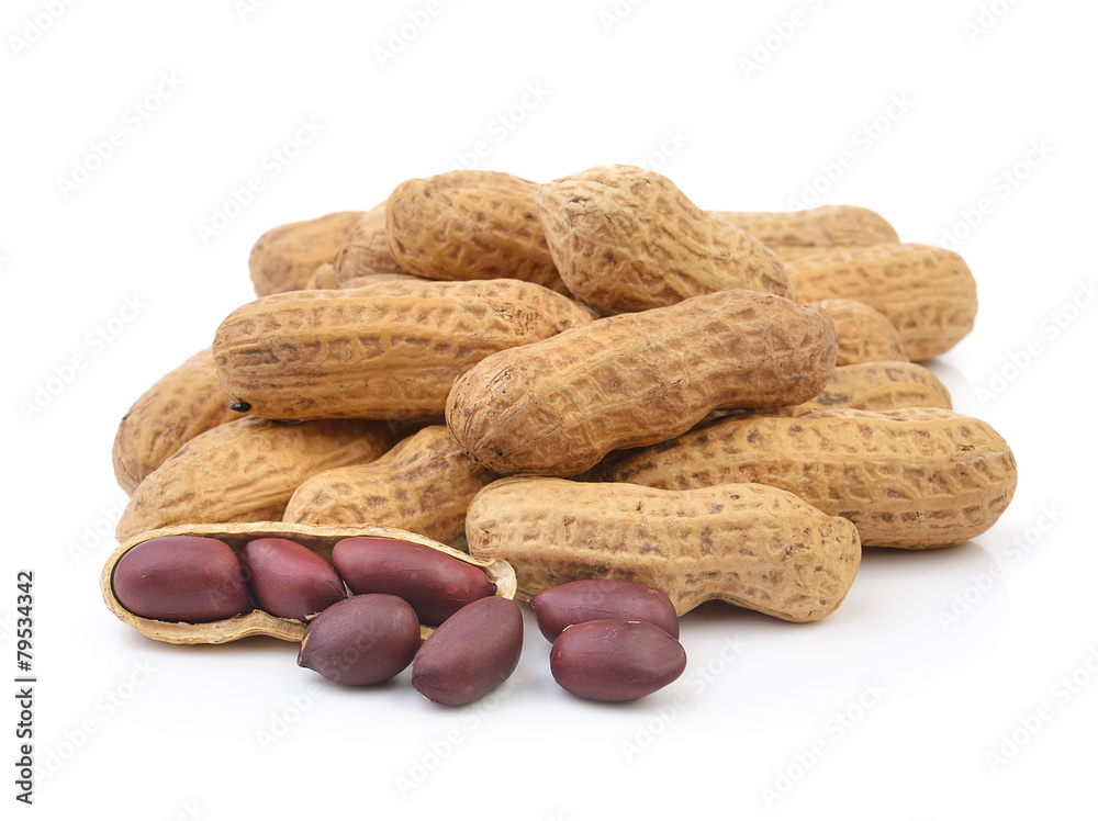 peanut on white background peanut on white background