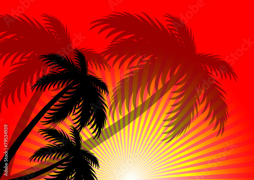 sunset summer and coconut tree background