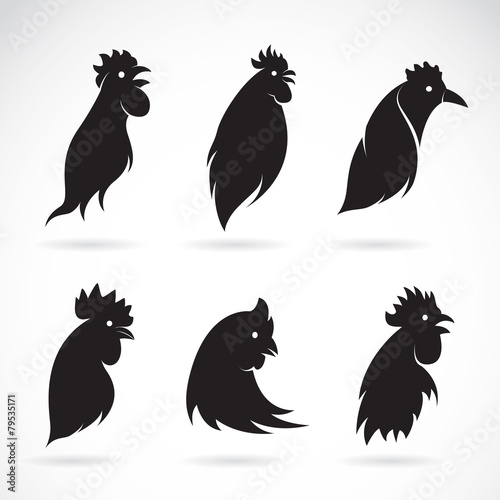 Vector image of an chicken head on white background