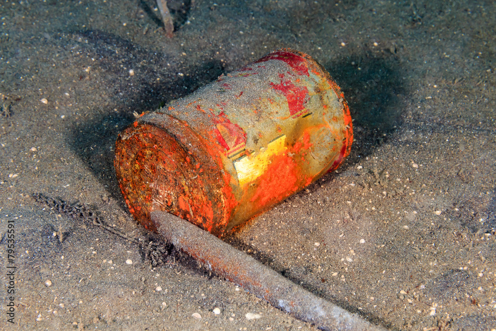 Discarded can on the seabed