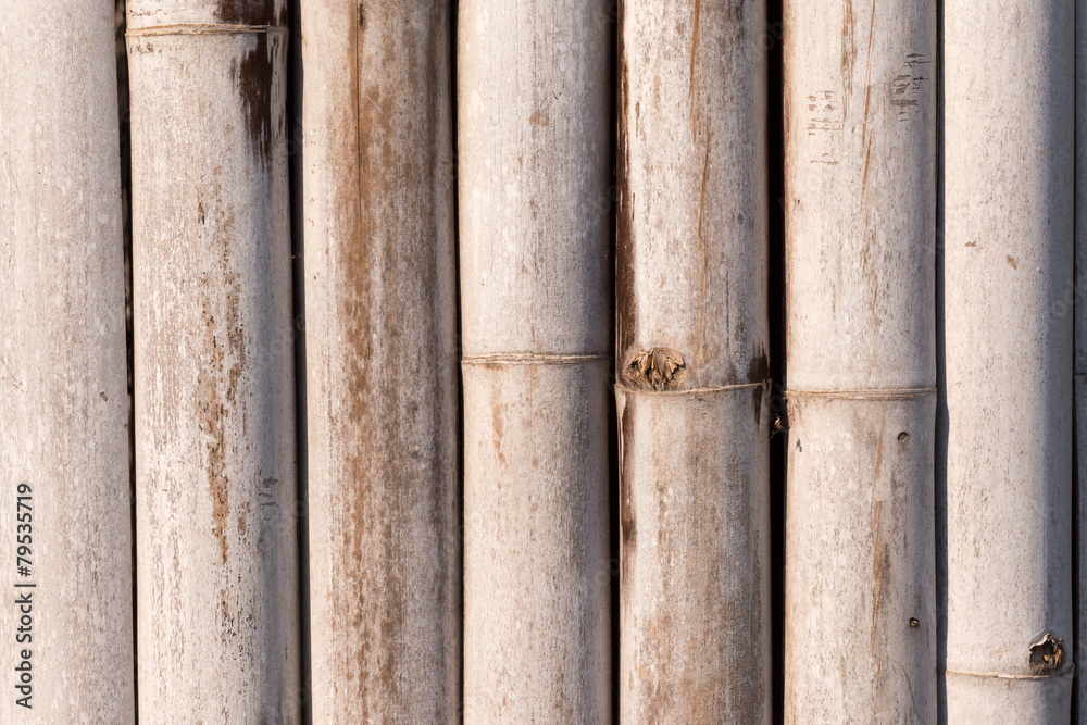 bamboo background bamboo background