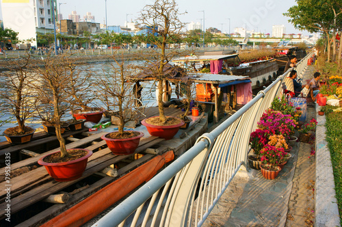  boat, spring flower, Vietnam Tet