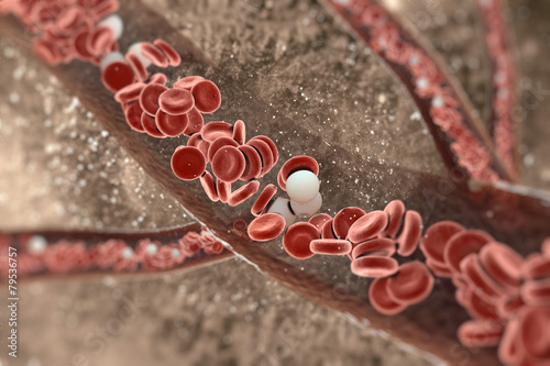 Blood cells in an artery