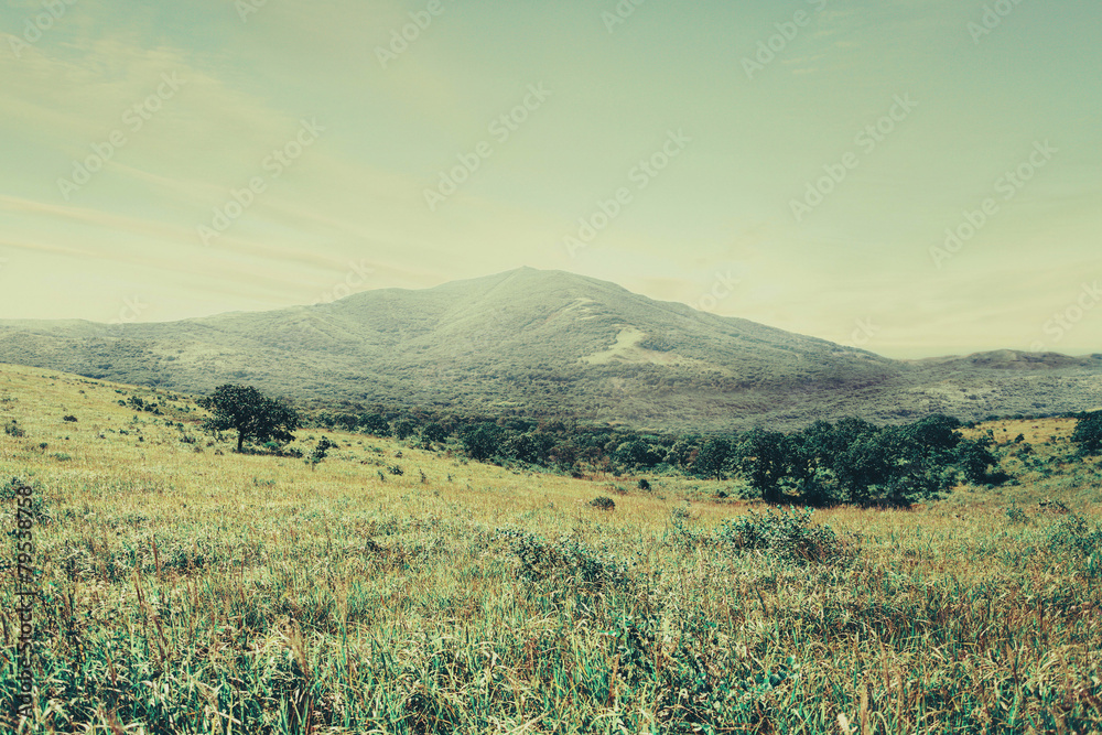 Fototapeta premium Mountain landscape