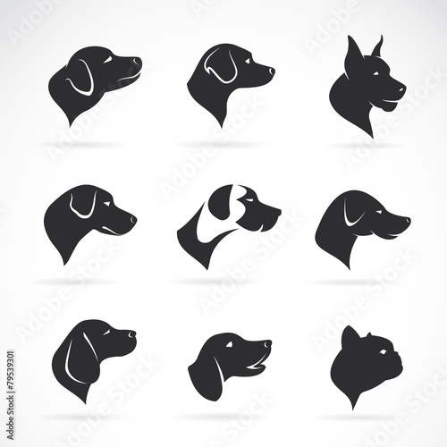 Vector of a dog head on white background. Pet. Easy editable layered vector illustration.