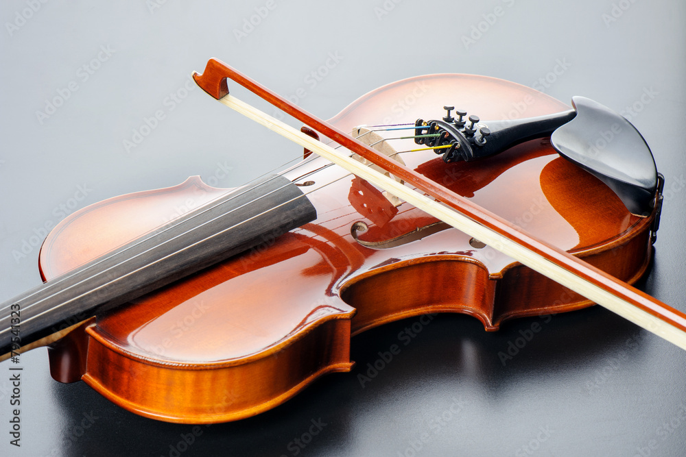 Fototapeta premium Violin