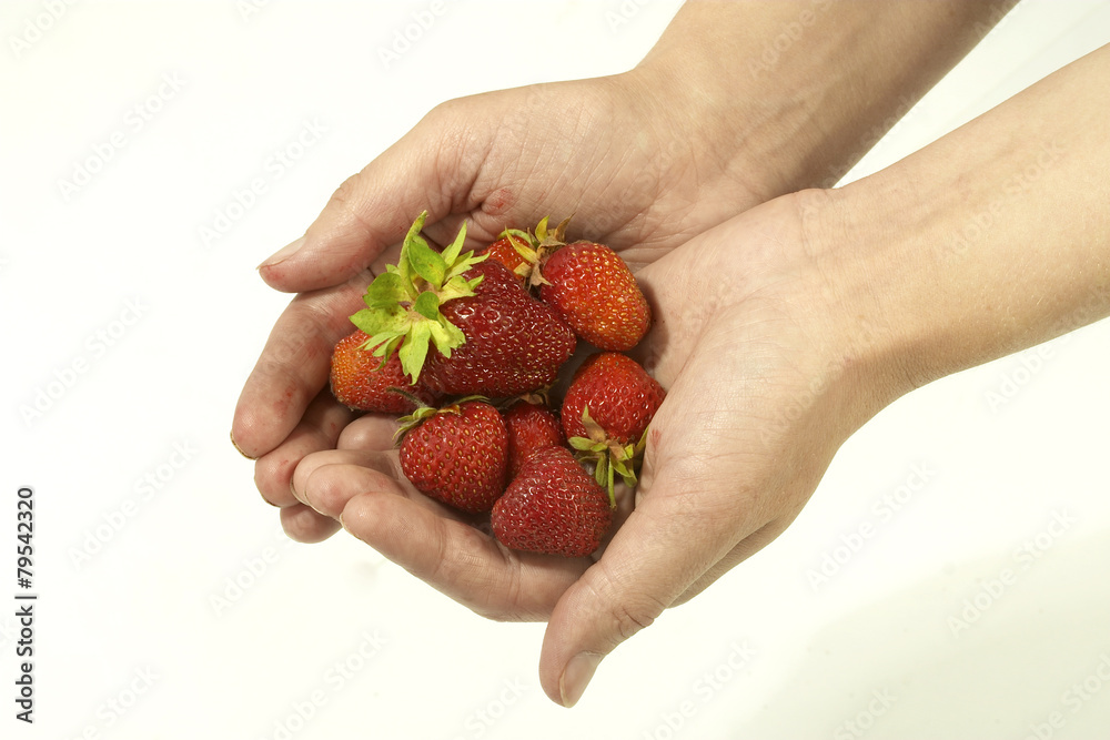 Obraz premium strawberry