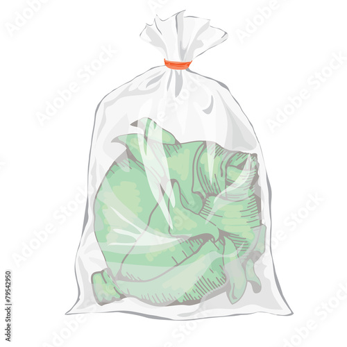 Cabbage. Hand drawing design elements
