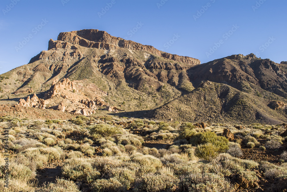 Fototapeta premium Volcanic Landscape