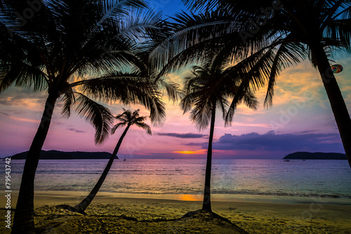 Tropical beach with palm tree silhouettes at sunset.