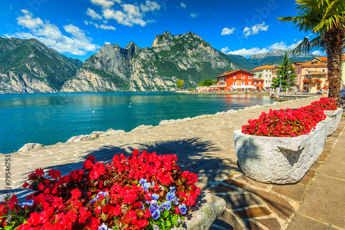 Fototapeta Red flowers and promenade,Lake Garda,Northern Italy,Europe