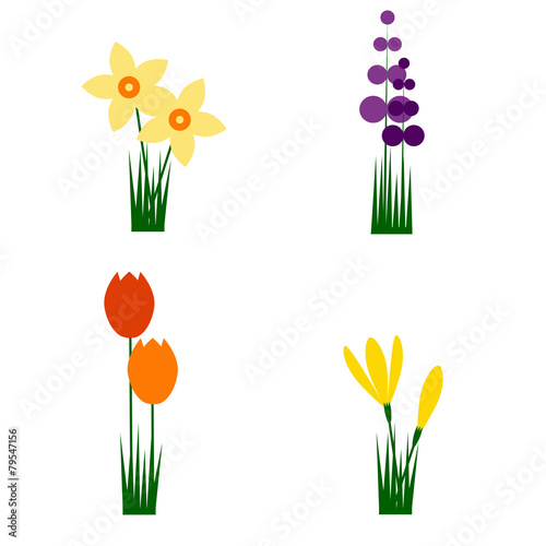 Fototapeta Naklejka Na Ścianę i Meble -  Set of four spring flowers