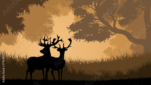 Horizontal illustration of wild animals in wood.