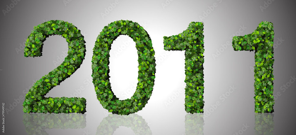 Year 2011, date made from green leaves. Year 2011, date made from green leaves.