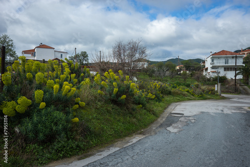 Spring landscape at Evbia island, Greece photo