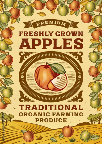 Retro apples poster