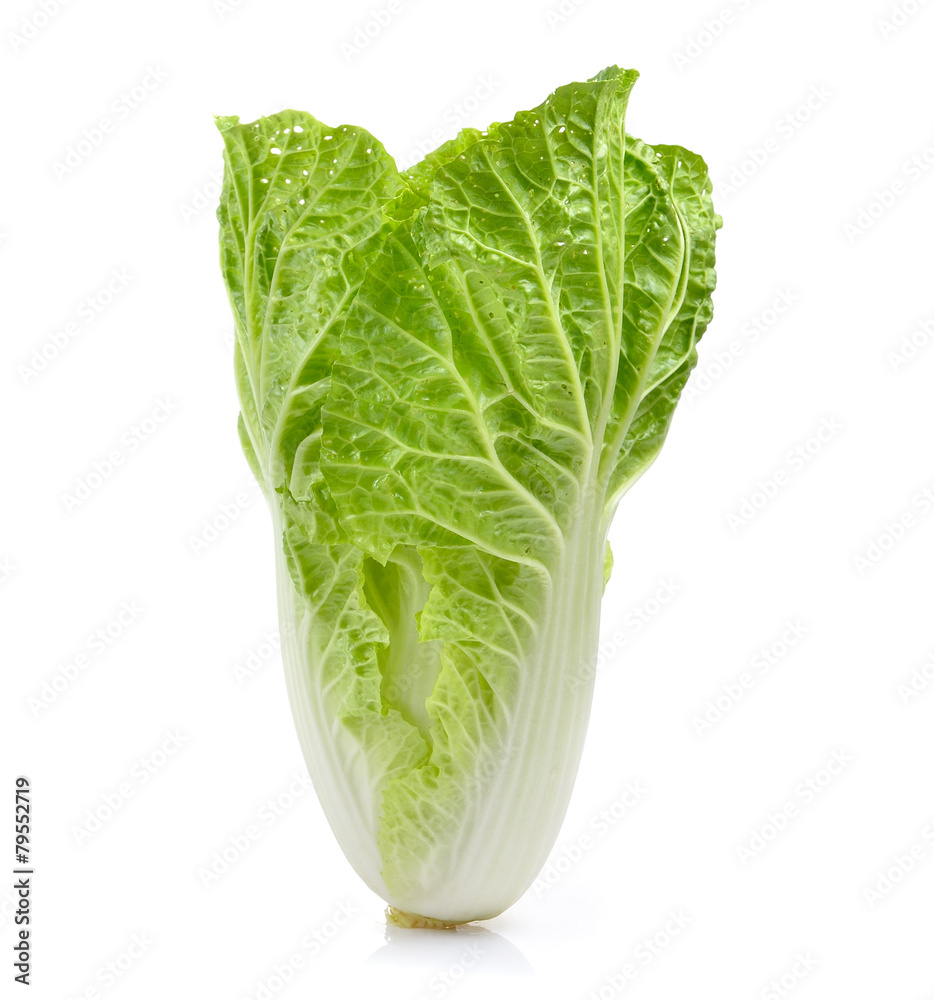 fresh chinese cabbage on a white background fresh chinese cabbage on a white background