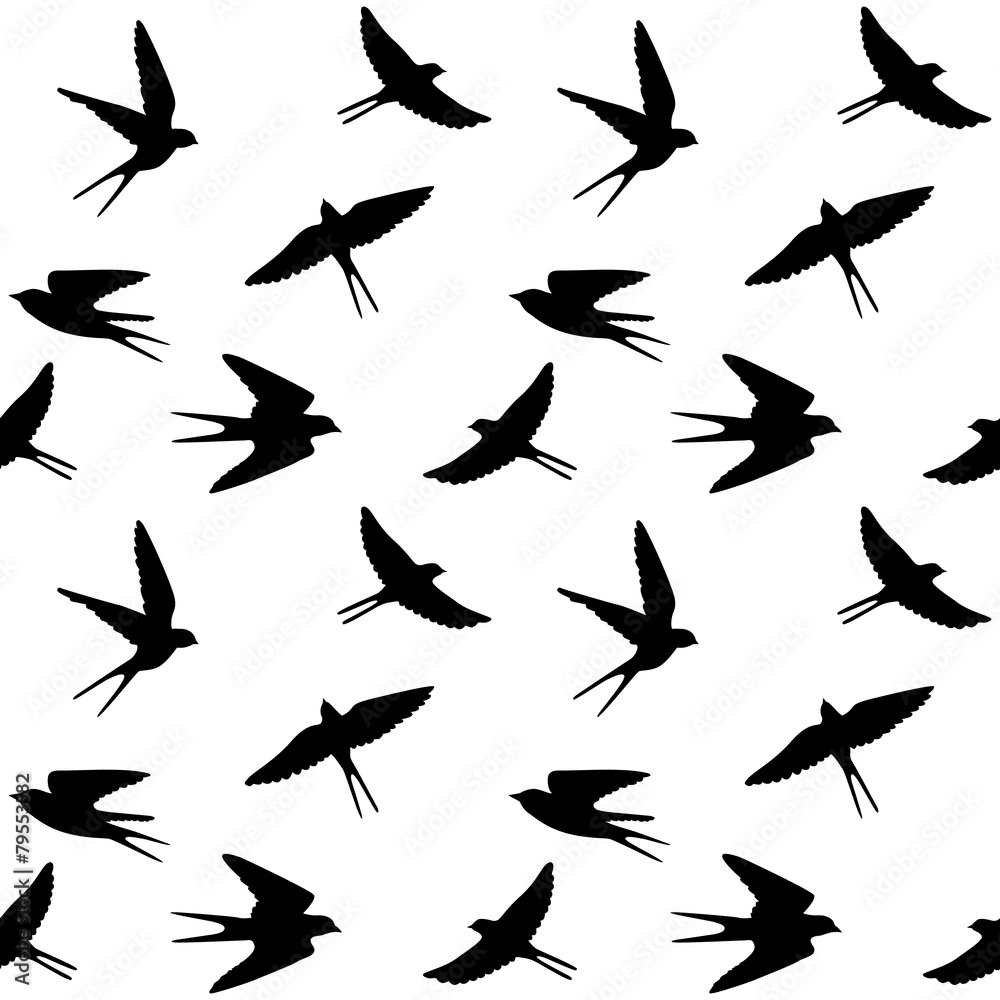 spring birds spring birds