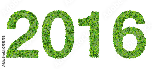 Year 2016  date made from green leaves.