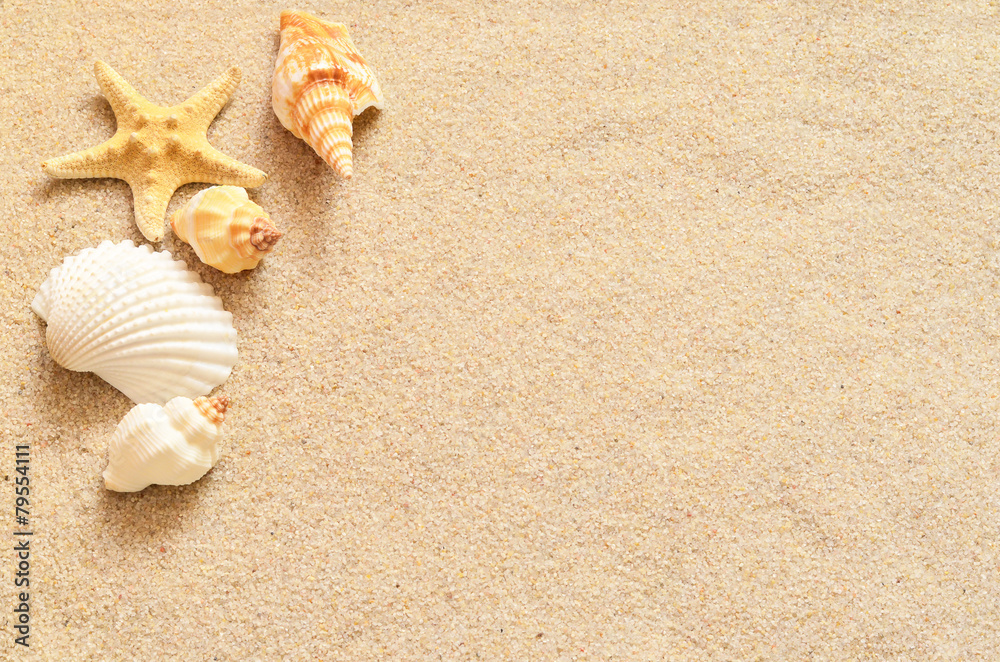Seashells on sand - obrazy, fototapety, plakaty 
