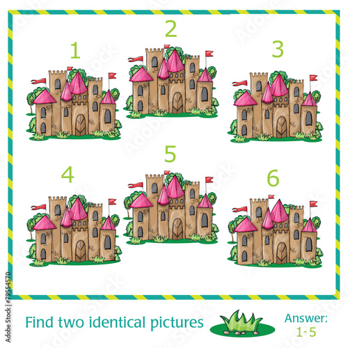 Find two identical pictures