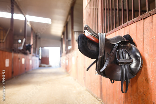 Leather saddle horse photo