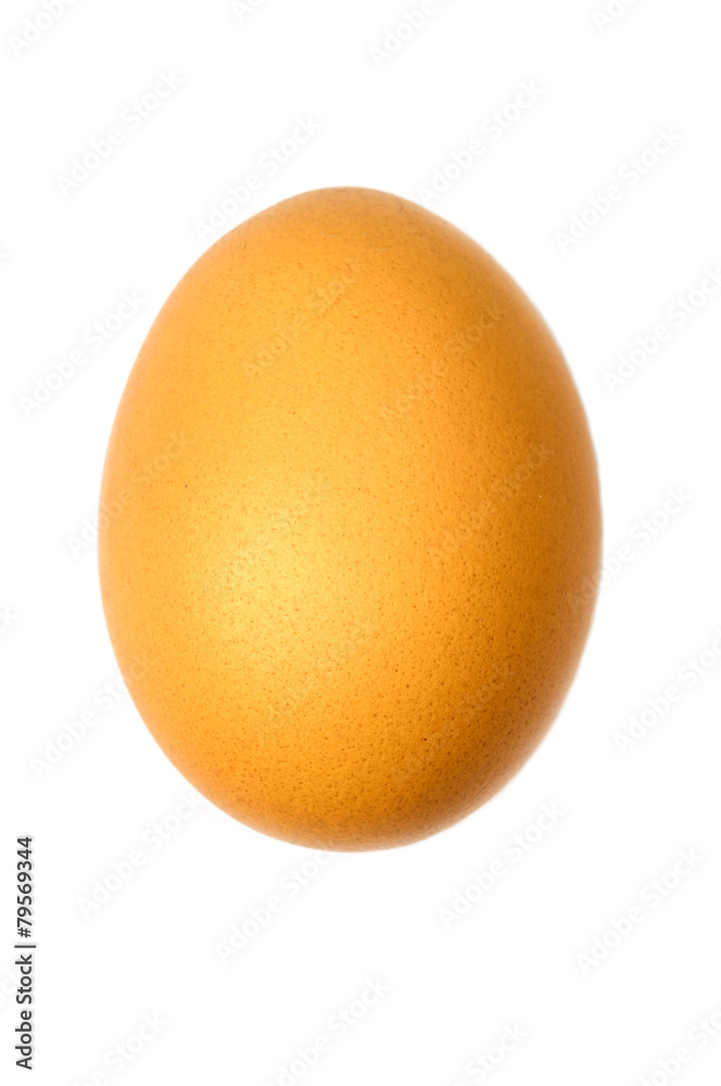 egg isolated egg isolated