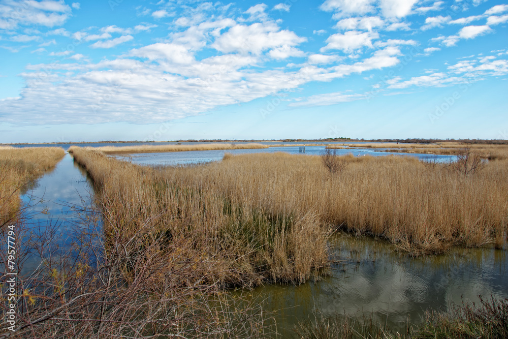 Paysage de Camargue