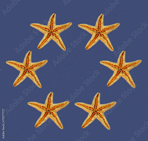 sea stars on blue background