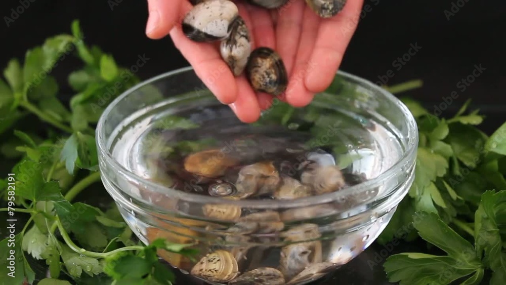 Vongole