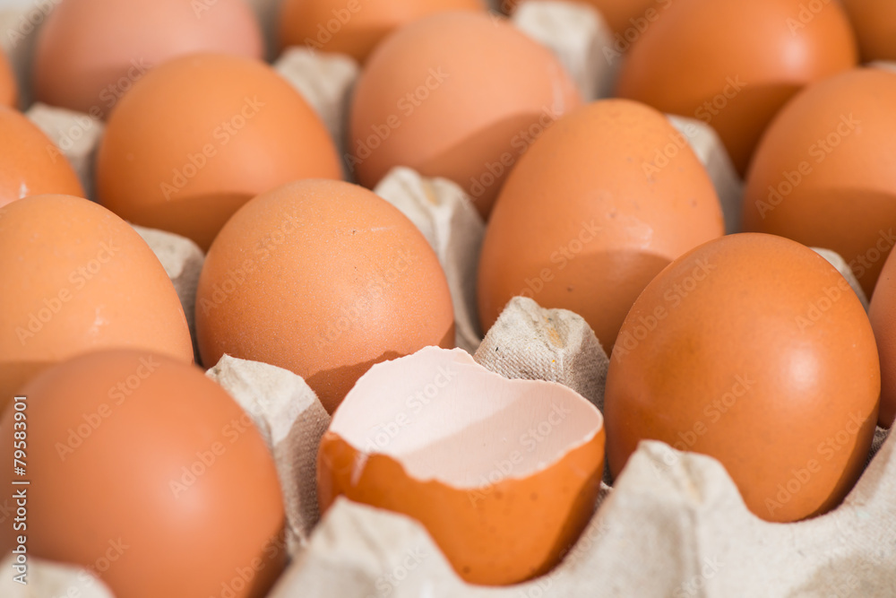 fresh egg and broken eggs isolated on white background fresh egg and broken eggs isolated on white background