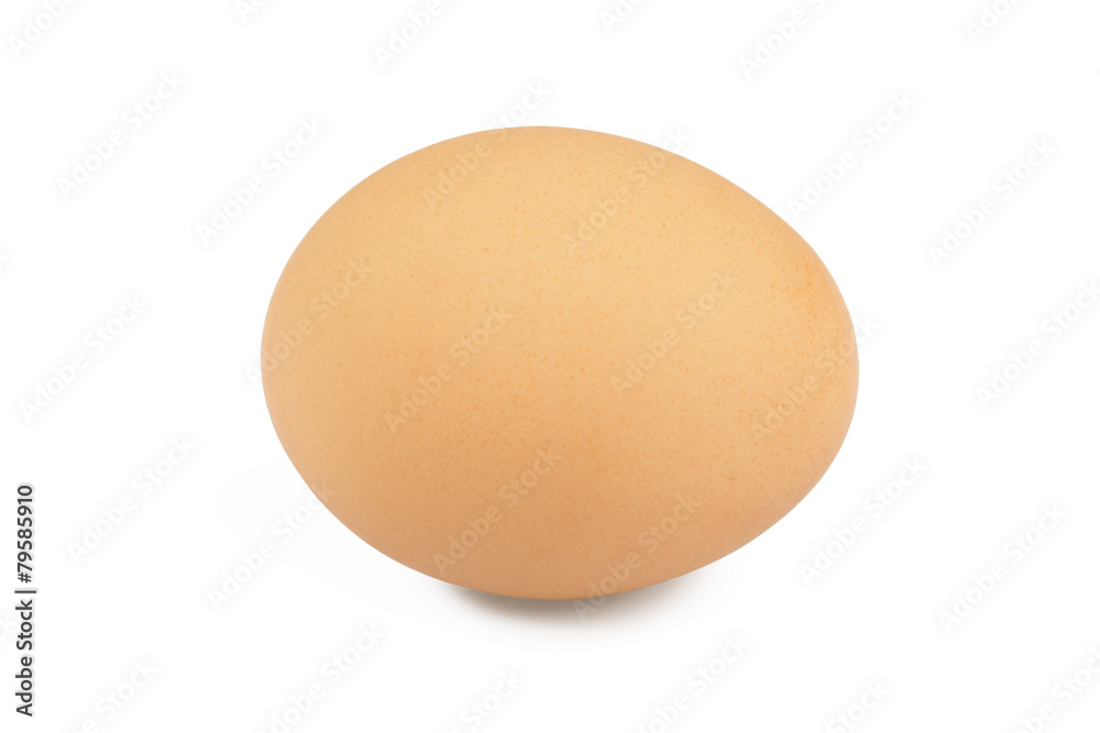 One egg on a white background One egg on a white background