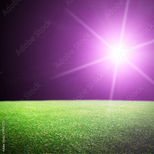 Shiny soccer ball in full stadium lights at night © Dmitry Perov