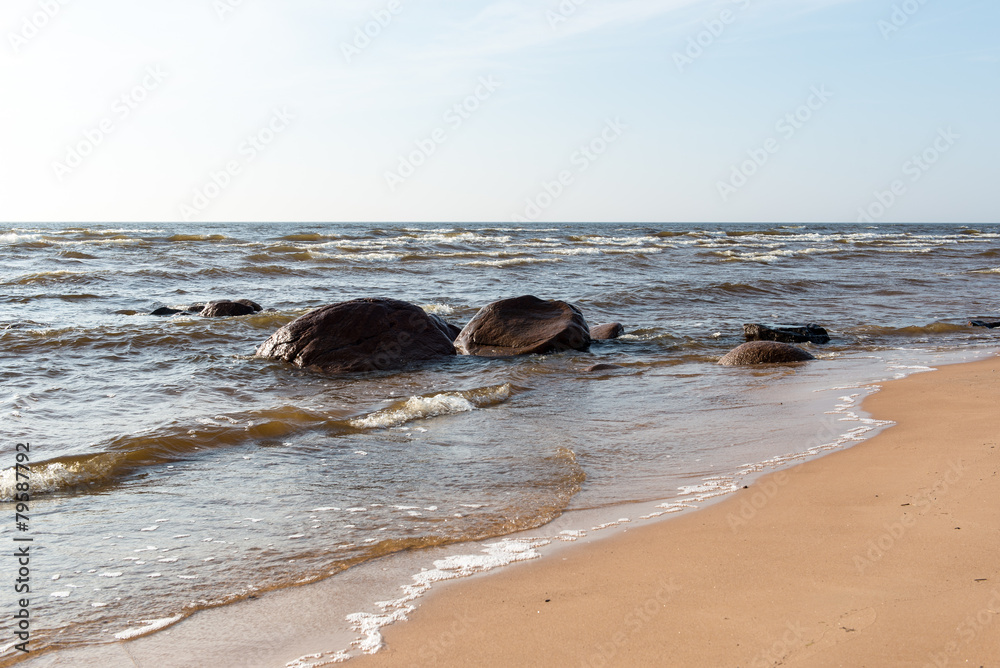Fototapeta premium Shoreline of Baltic sea beach with rocks and sand dunes