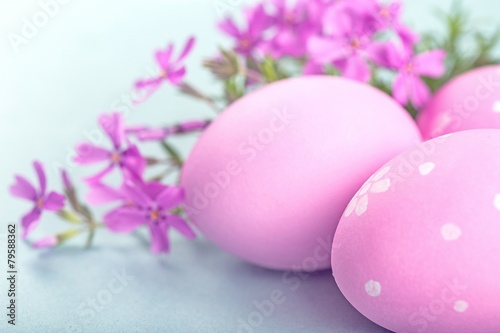 Easter eggs and crocuses isolated on white background.