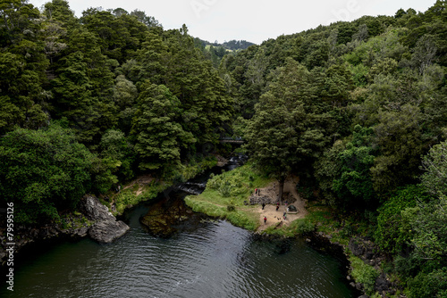 A view of Whangarei forest nature reserve from the waterfall