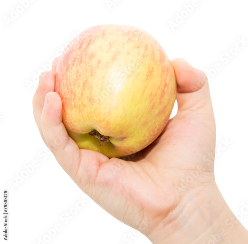 apple in the children's hand on a white background