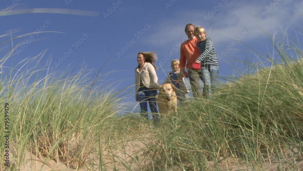 WS, Family walking hand in hand trough dunes