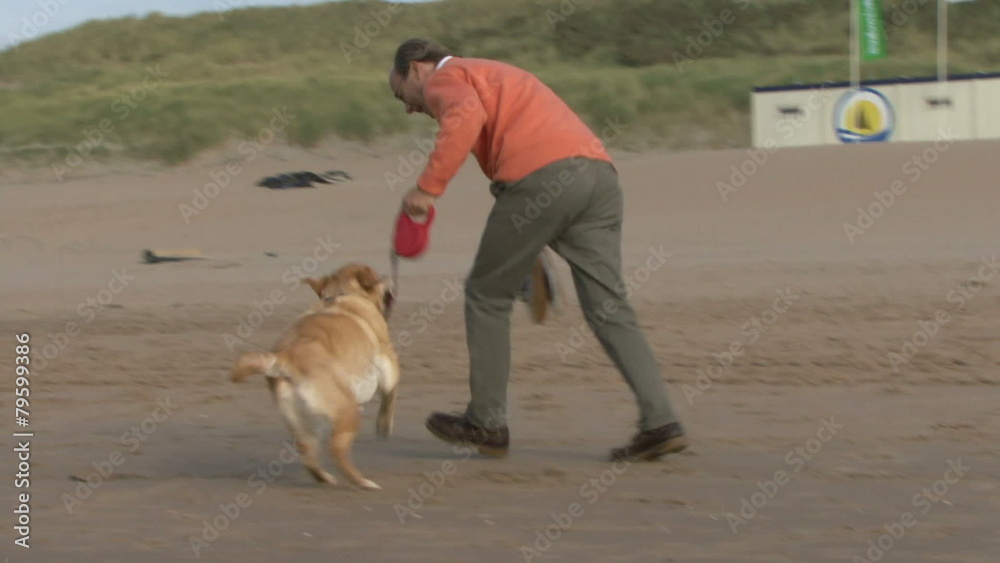 WS, Handheld, Male playing and running with dog on the beach WS, Handheld, Male playing and running with dog on the beach